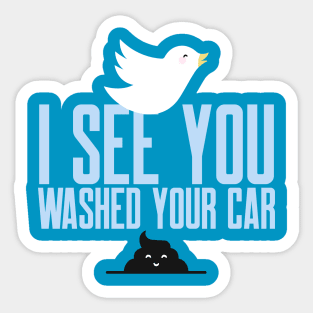 I see you just washed your car! Sticker